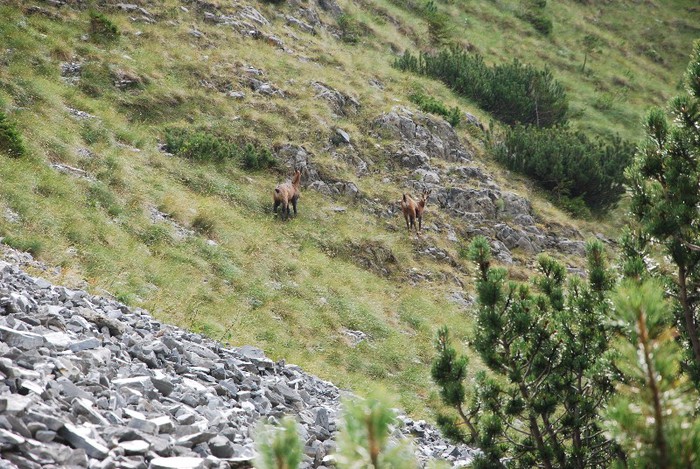 DSC_0152 - RETEZAT 2012