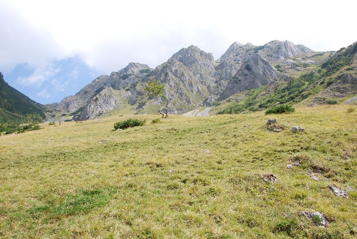 DSC_0155 - RETEZAT 2012