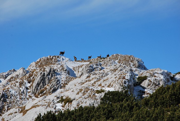 DSC_0358 - RETEZAT 2012