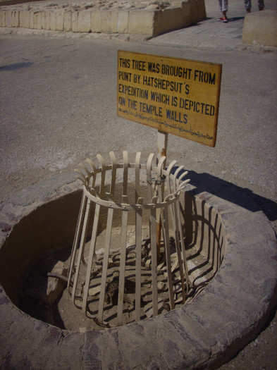 temple of Queen Hatshepsut