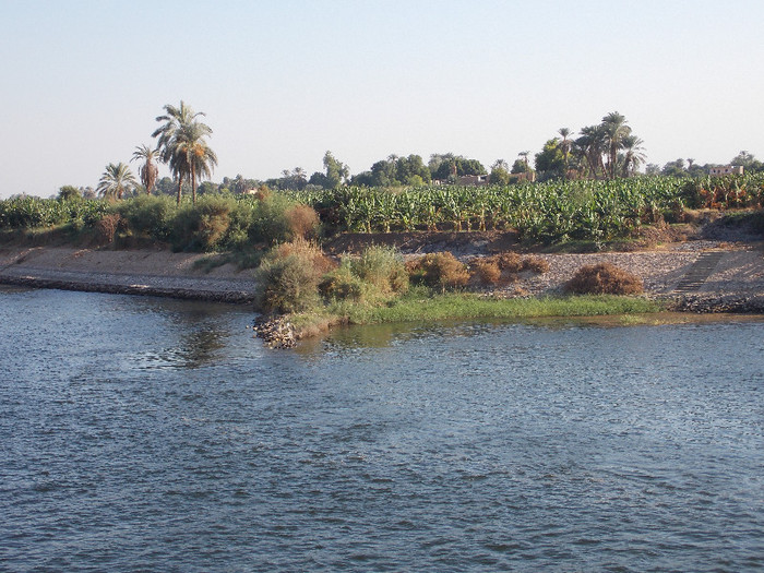 on the Nile