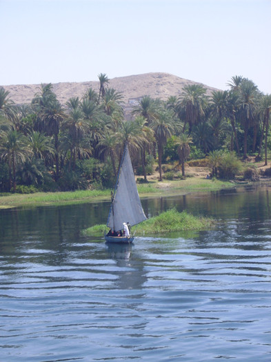 on the Nile