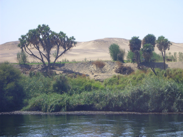on the Nile