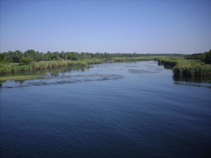 on the Nile