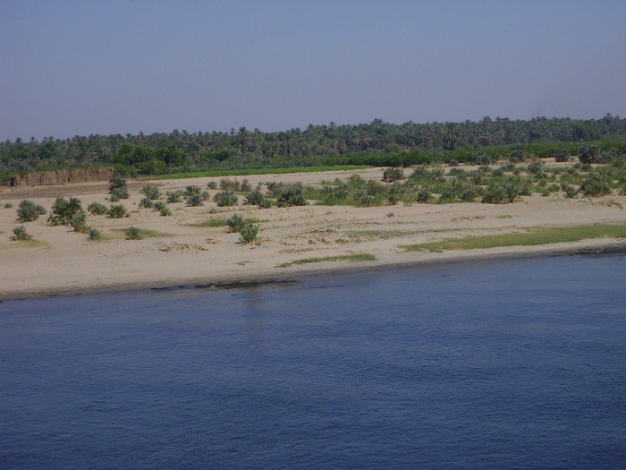 on the Nile