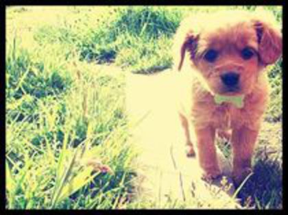 ea e Fiona; Ea e Fiona
