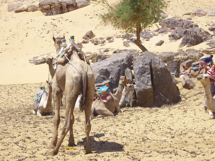 Nubian Village