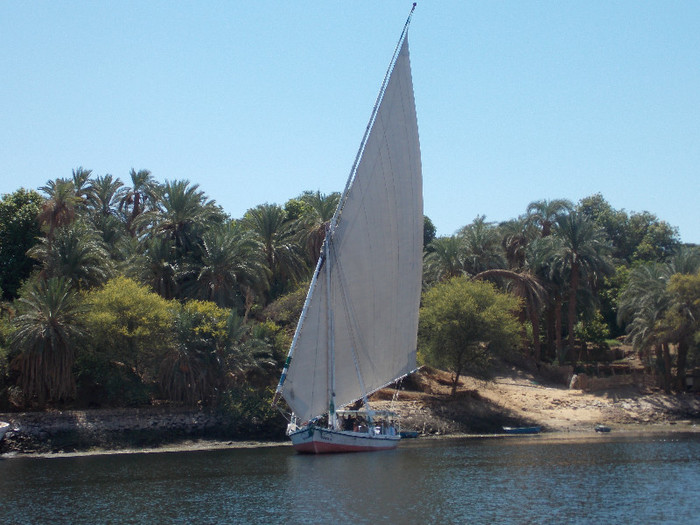 on the Nile, Aswan