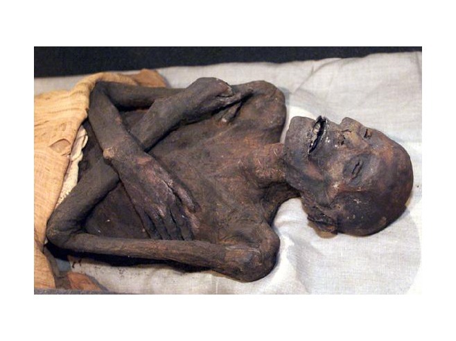 Ramses II, Egyptian Museum ,Cairo - Egypt