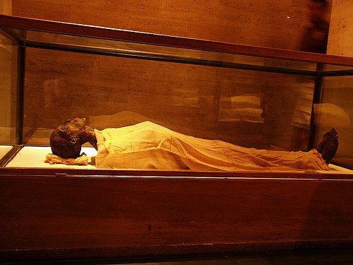 AmenhotepII, Mummy Hall - Egypt