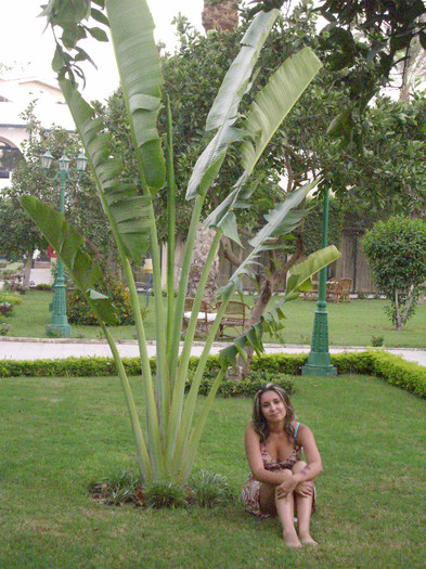 Oasis Hotel, Cairo - Egypt