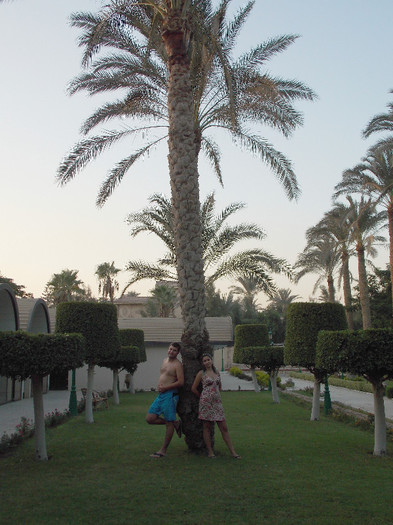 Oasis Hotel, Cairo - Egypt