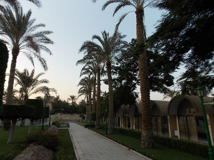 Oasis Hotel, Cairo - Egypt