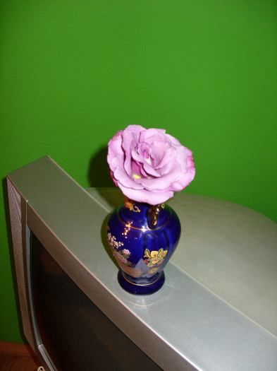 SDC10914 - Flori in vaza