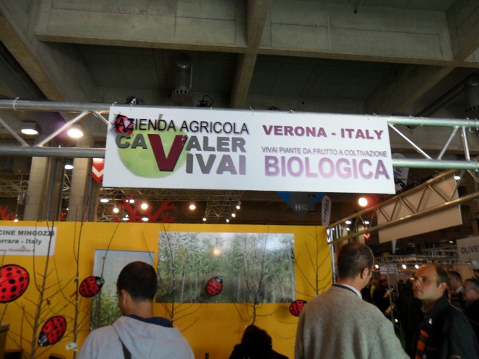 excursie 2012 286