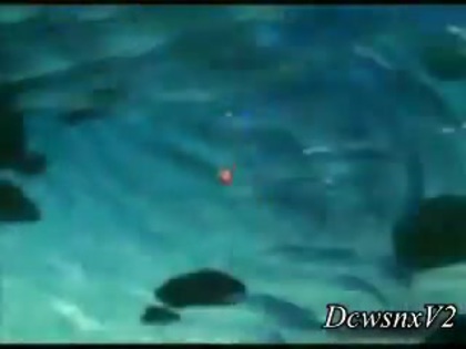 Disney Channel Special Look - Finding Nemo 3D 0153