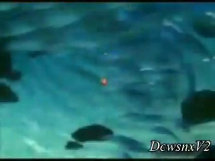 Disney Channel Special Look - Finding Nemo 3D 0154