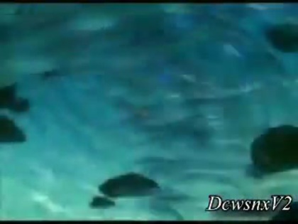 Disney Channel Special Look - Finding Nemo 3D 0155