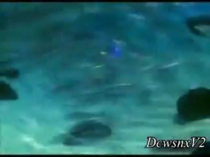 Disney Channel Special Look - Finding Nemo 3D 0156