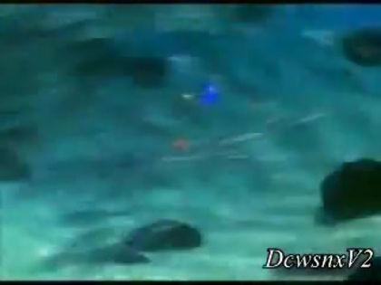 Disney Channel Special Look - Finding Nemo 3D 0157 Disney Channel Special Look - Finding Nemo 3D 0157