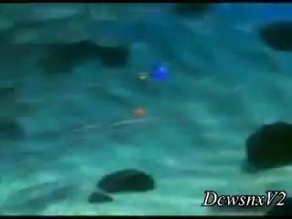 Disney Channel Special Look - Finding Nemo 3D 0158 Disney Channel Special Look - Finding Nemo 3D 0158
