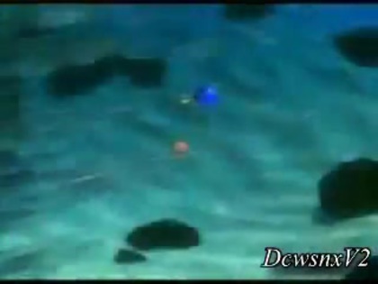 Disney Channel Special Look - Finding Nemo 3D 0160 Disney Channel Special Look - Finding Nemo 3D 0160