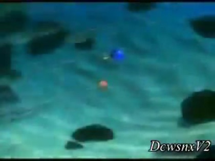Disney Channel Special Look - Finding Nemo 3D 0161 Disney Channel Special Look - Finding Nemo 3D 0161