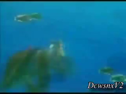 Disney Channel Special Look - Finding Nemo 3D 0163 Disney Channel Special Look - Finding Nemo 3D 0163