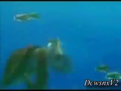Disney Channel Special Look - Finding Nemo 3D 0164 Disney Channel Special Look - Finding Nemo 3D 0164