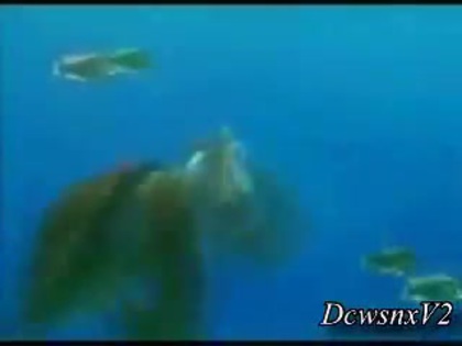 Disney Channel Special Look - Finding Nemo 3D 0165 Disney Channel Special Look - Finding Nemo 3D 0165