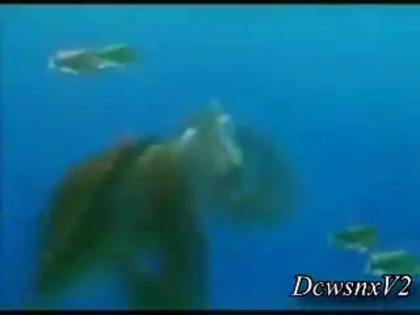 Disney Channel Special Look - Finding Nemo 3D 0166