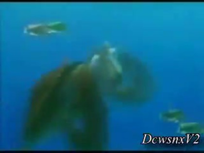 Disney Channel Special Look - Finding Nemo 3D 0167 Disney Channel Special Look - Finding Nemo 3D 0167