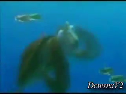 Disney Channel Special Look - Finding Nemo 3D 0168 Disney Channel Special Look - Finding Nemo 3D 0168