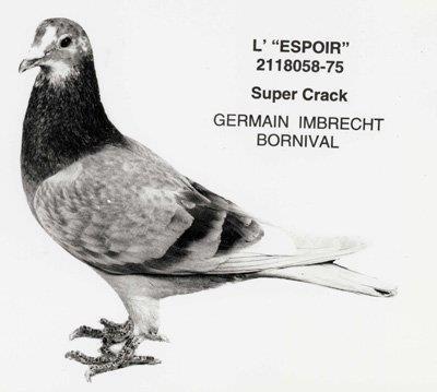 377885_101941833294873_1233246655_n