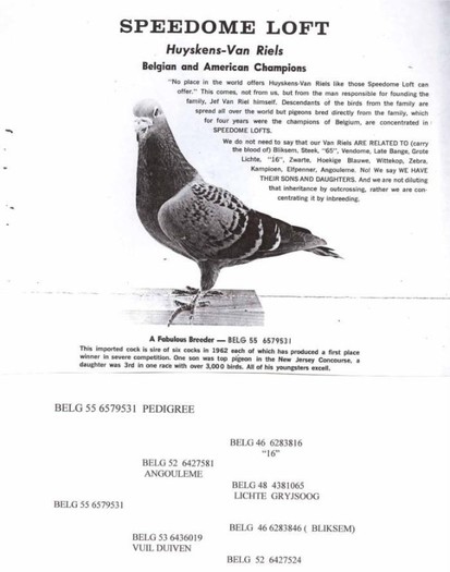 564646_102063266616063_854330270_n