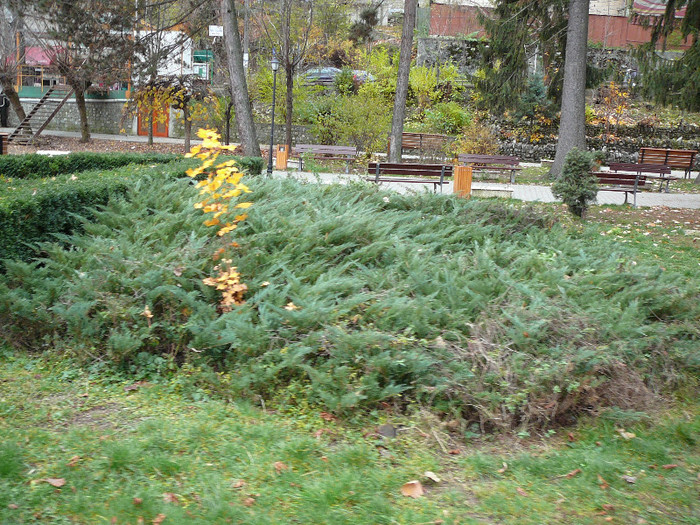 P1450579