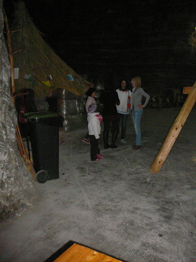 P1450643 - 2012 - 24 noiembrie - Excursie