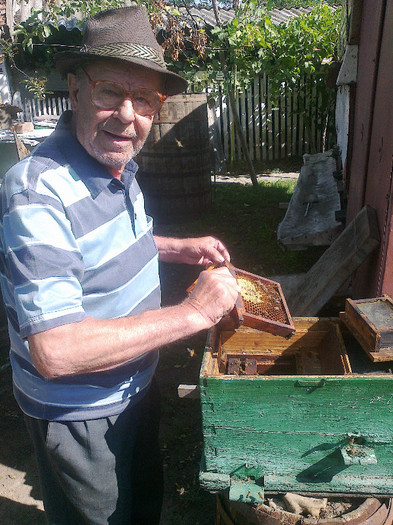 Ion Enache-mentorul meu