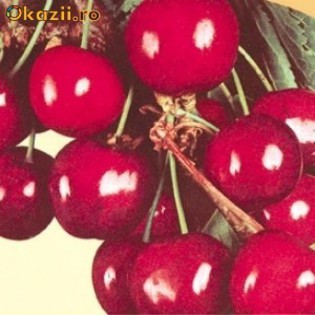 680158935520602838886480-6455369-700_700 - ACHIZITII TOAMNA 2012