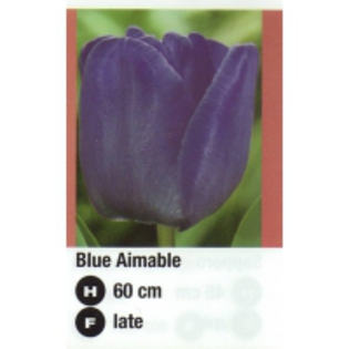 Blue Aimable-200x200 - ACHIZITII TOAMNA 2012
