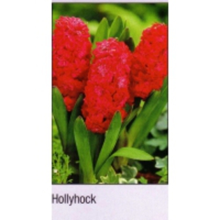 Hollyhock-200x200