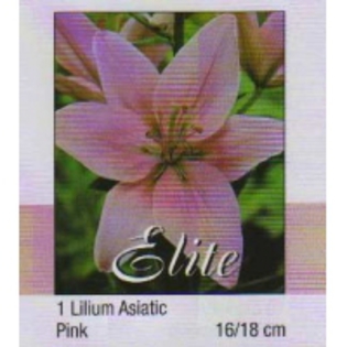 img020_18-200x200 - ACHIZITII TOAMNA 2012