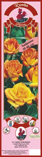 img-rumba-900x800 - ACHIZITII TOAMNA 2012