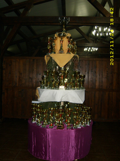 SI  --CUPELE SINT PREGATITE; Sa inceapa distractia..
