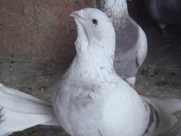 my Picture 182