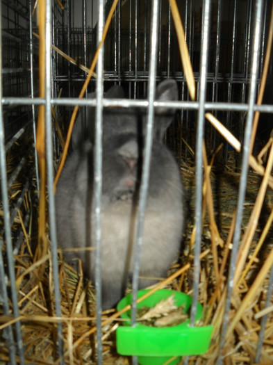 DSCN3539