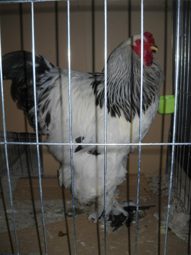 DSCN3598