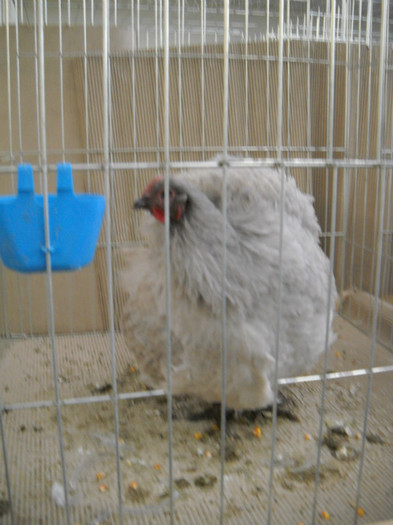 DSCN3615