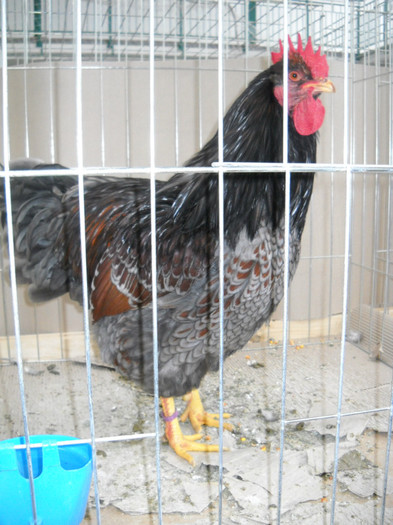 DSCN3638
