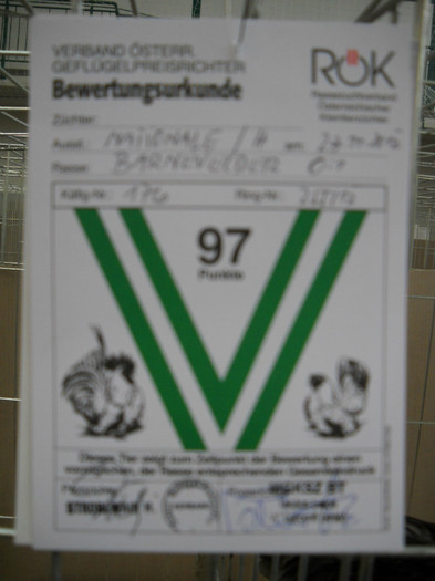 DSCN3641